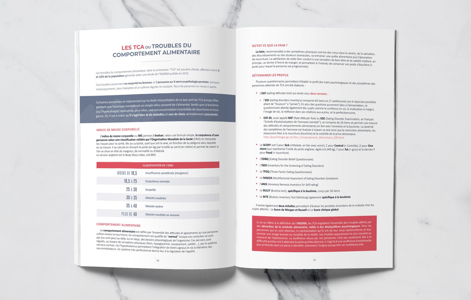 Double page contenant un tableau