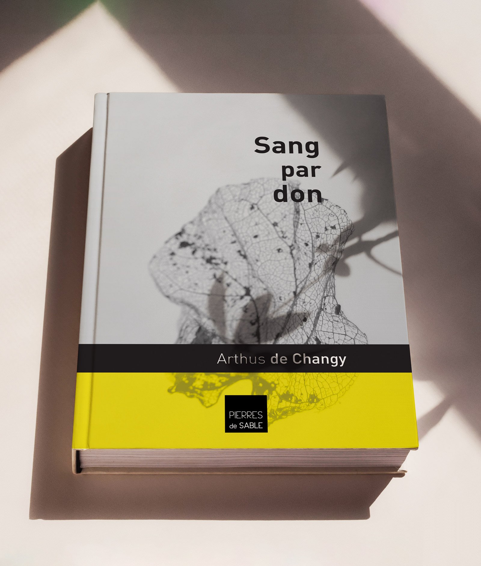 Livre aux éditions Pierres de sable