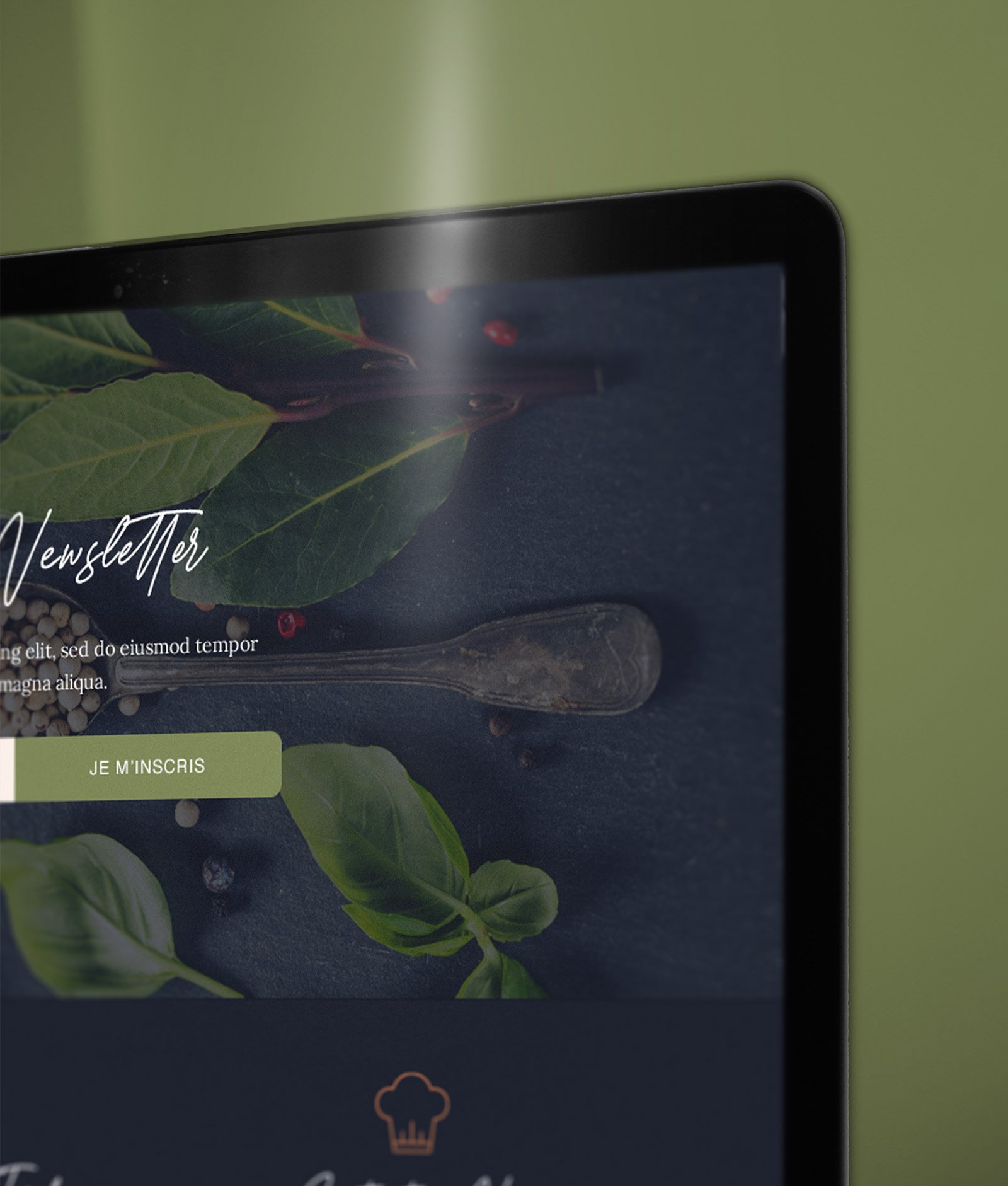 Zoom sur un coin de la rubrique d&rsquo;inscription à la Newsletter