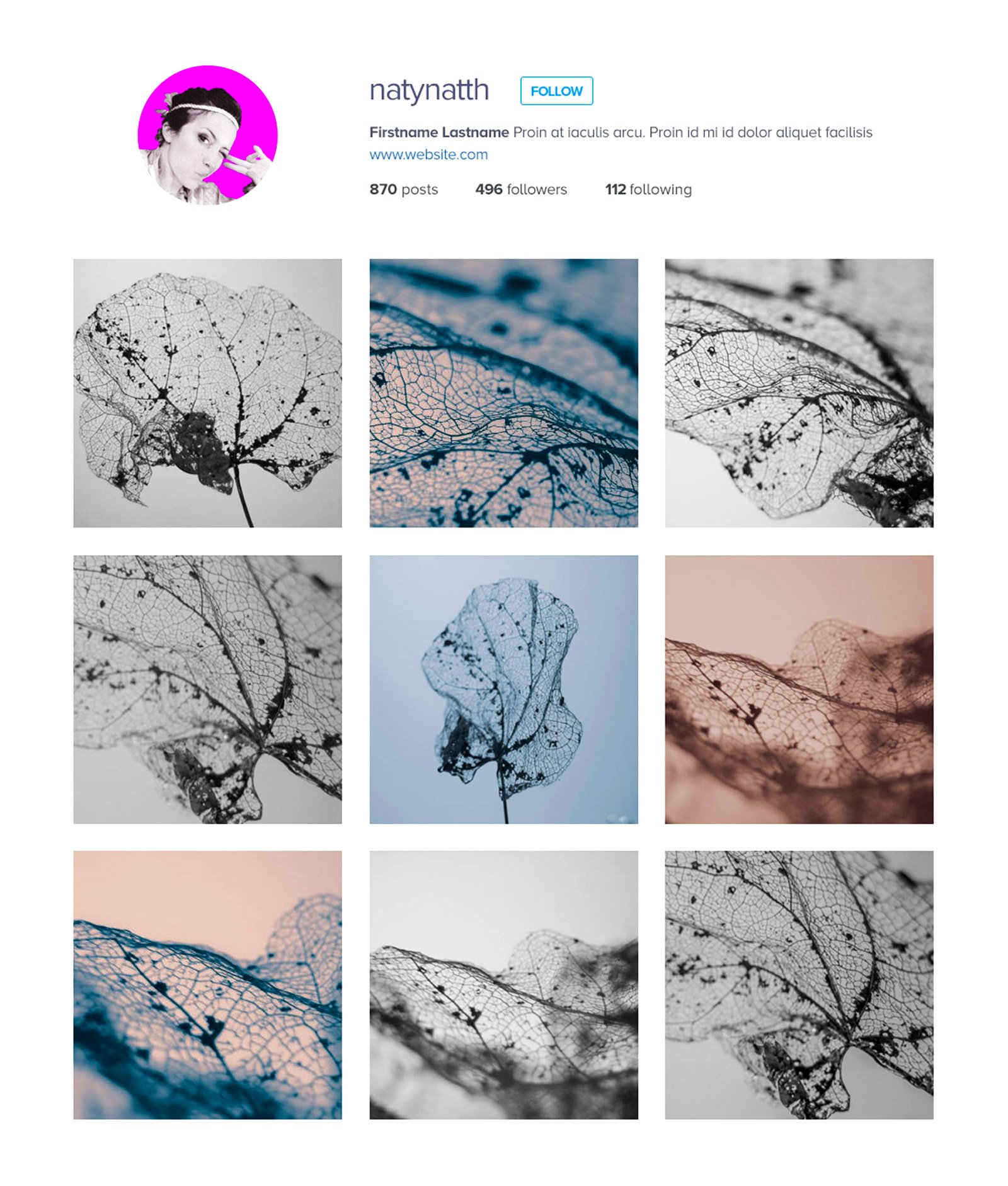 Série de clichés dans le style « Nature morte »